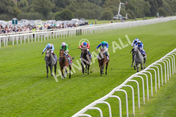 240824-Race 3-Breege-8955 - Race 3 3.00pm Sky Bet City Of York Stakes