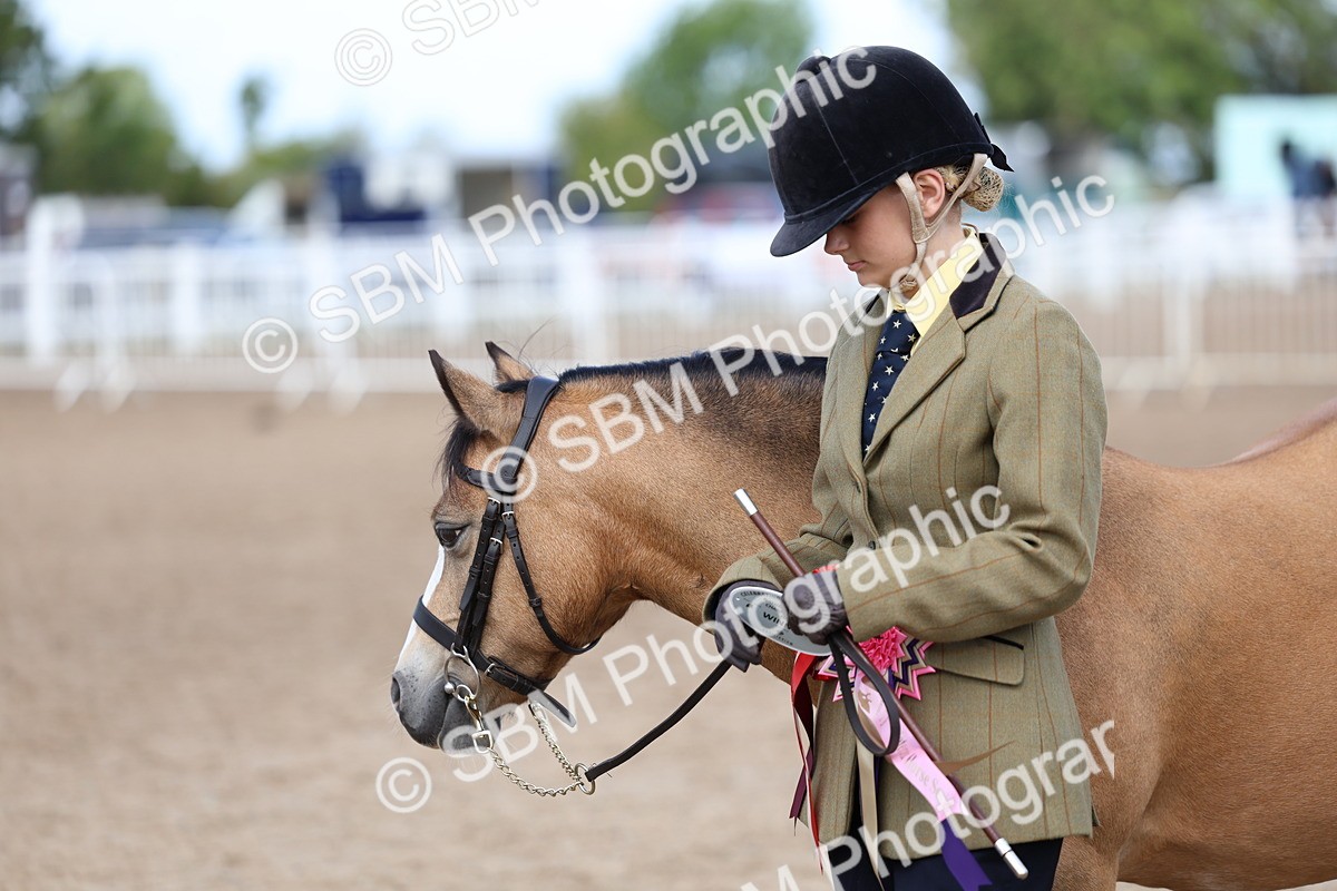 SBM_02402 - Class 19 - Horse or Pony Judge would most like to take home