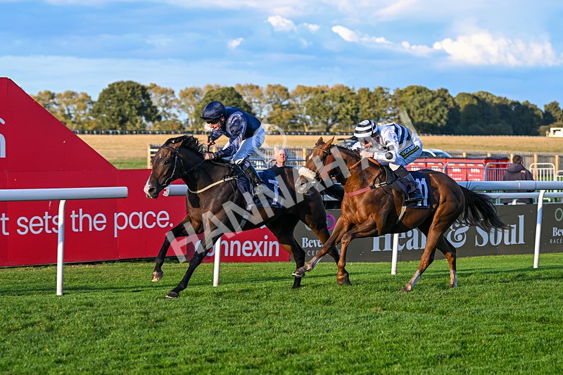 240924-Race 8-Claxton Bay-7168 - Race 8