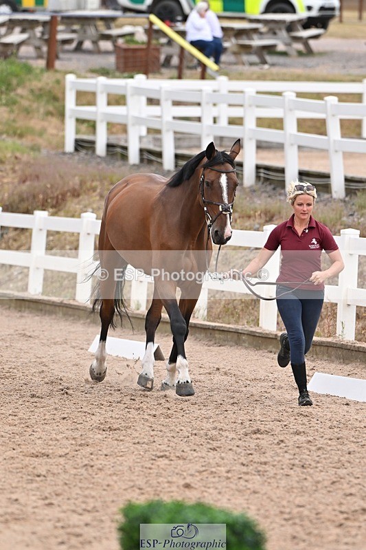 250716-143129-01162 - Trot Up 2.30 to 3.30