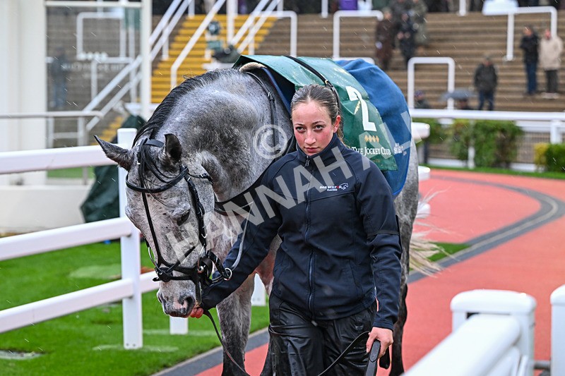 141125-Race 4-LEau du Sud-0216 - Race 4