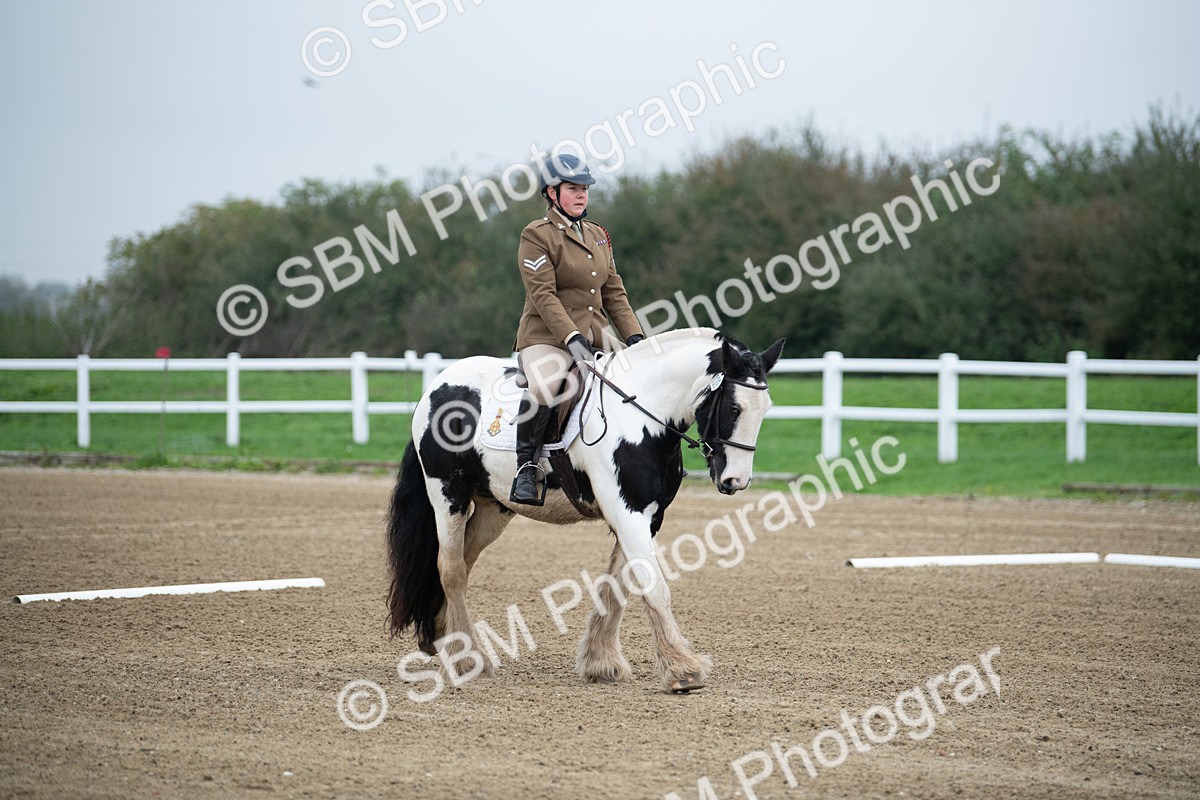 SBM_003439 - Introductory Test 3