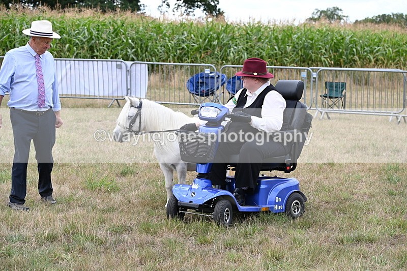 WJ6_6026 - Class 19 In-hand Veterans (Uploaded correct folder)