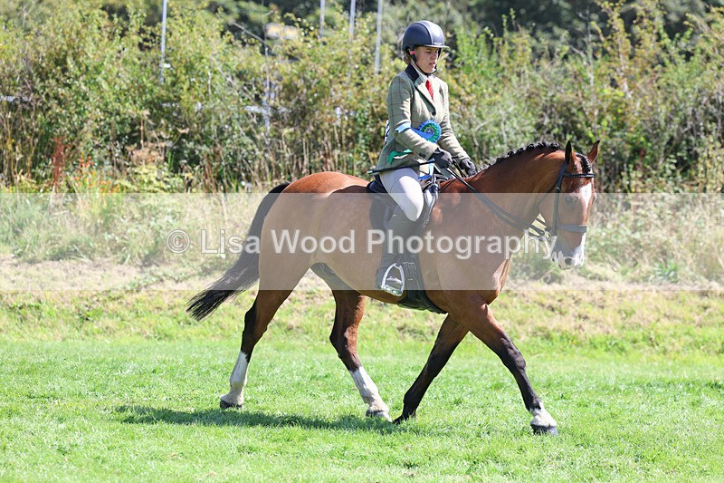 3E7A9174 - Working Hunter Championship