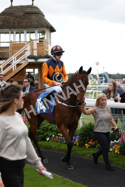 yr10062022r5-14 - Race 5 4.05pm Irish Thoroughbred Marketing Stakes