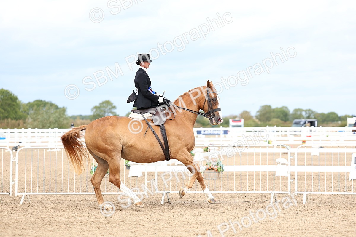 SBM_03371 - Class 23 - SSA Classical (any age)