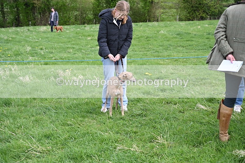 WJ6_8062 - Class 2 Best Pedigree