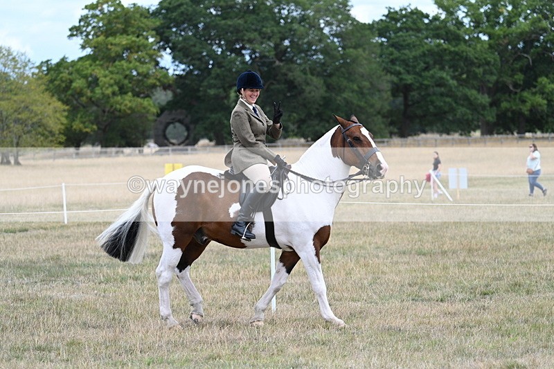 WJ7_4716 - Class 12 Ridden Cob