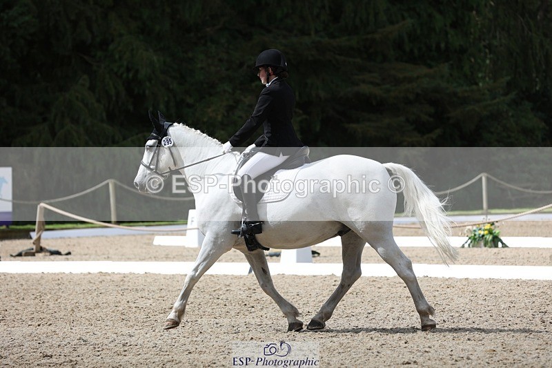 230812-113023-03784 - Cls 5 Novice Bronze 11.15 to 12.50 break