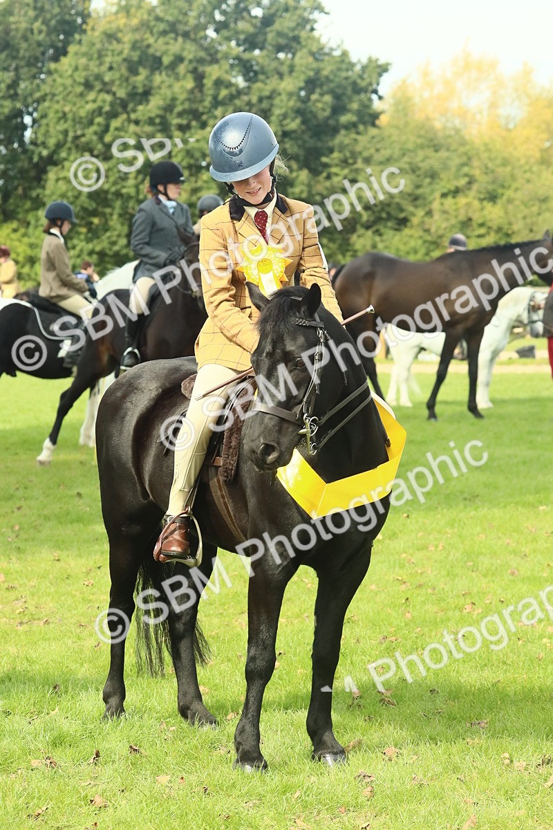 SBM_66751 - S34 - Rehabilitated Rescue Horse & Pony In Hand & Ridden