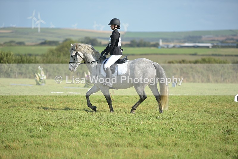 RAY_7382 - Class 2B: Trekenning Open: Dressage