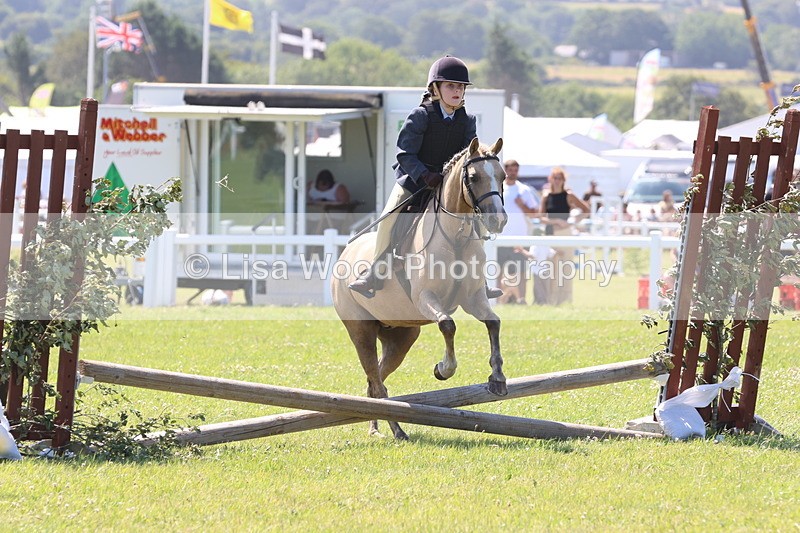 JPP_2205 - Class 20: Tiny Tots Working Hunter Pony