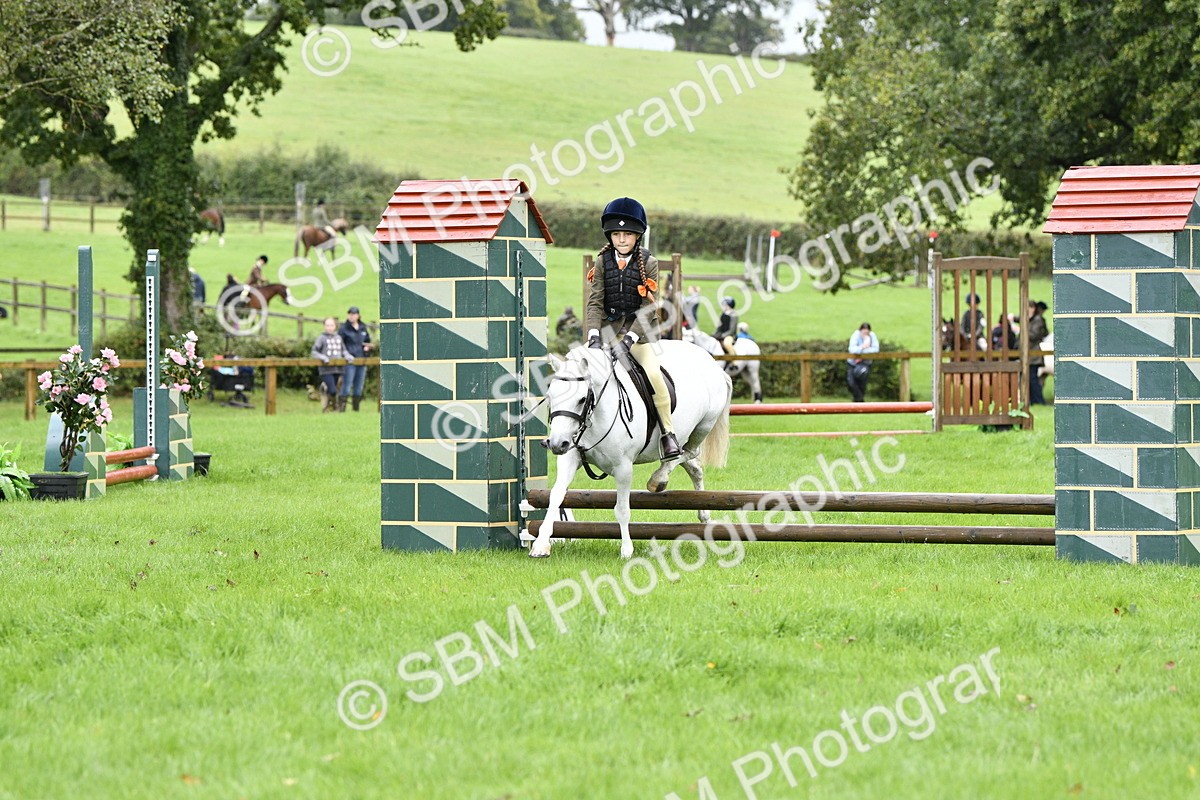 SBM_35456 - S30 - Nursery Stakes Working Hunter Pony
