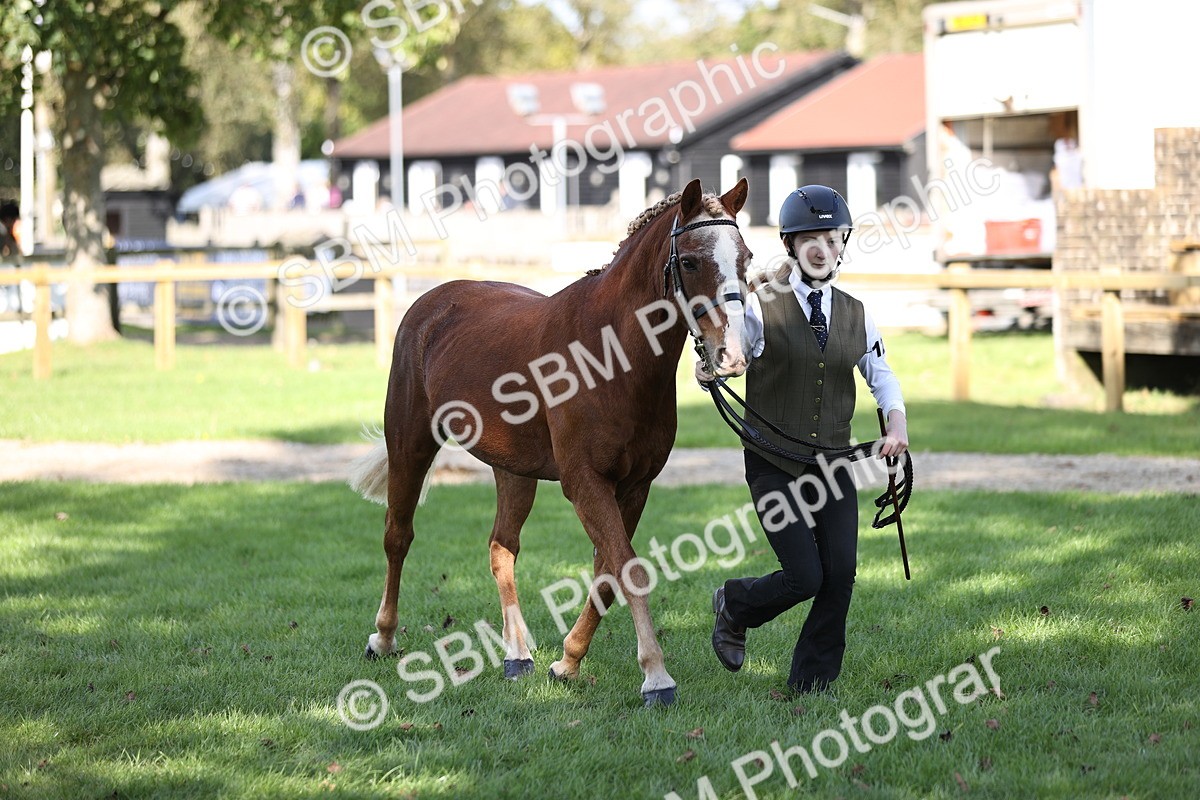 SBM_26219 - S5 - Novice & Newcomers In Hand
