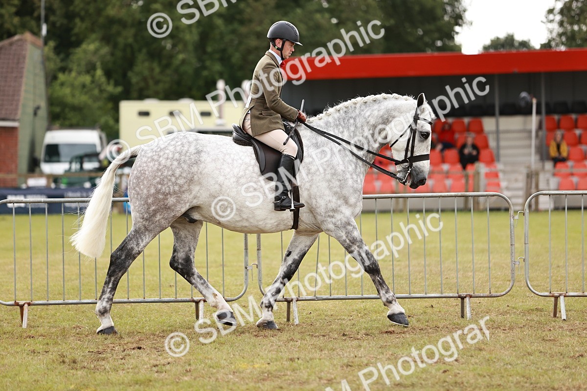 SBM_10911 - Class 81-84 - RIHS Ridden hunters Inc Ladies Hunter