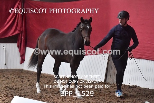 BPP_1529 - MORNING 9AM - 12PM