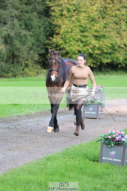 251026A-101958-22890 - D-354-Poppy.Burner