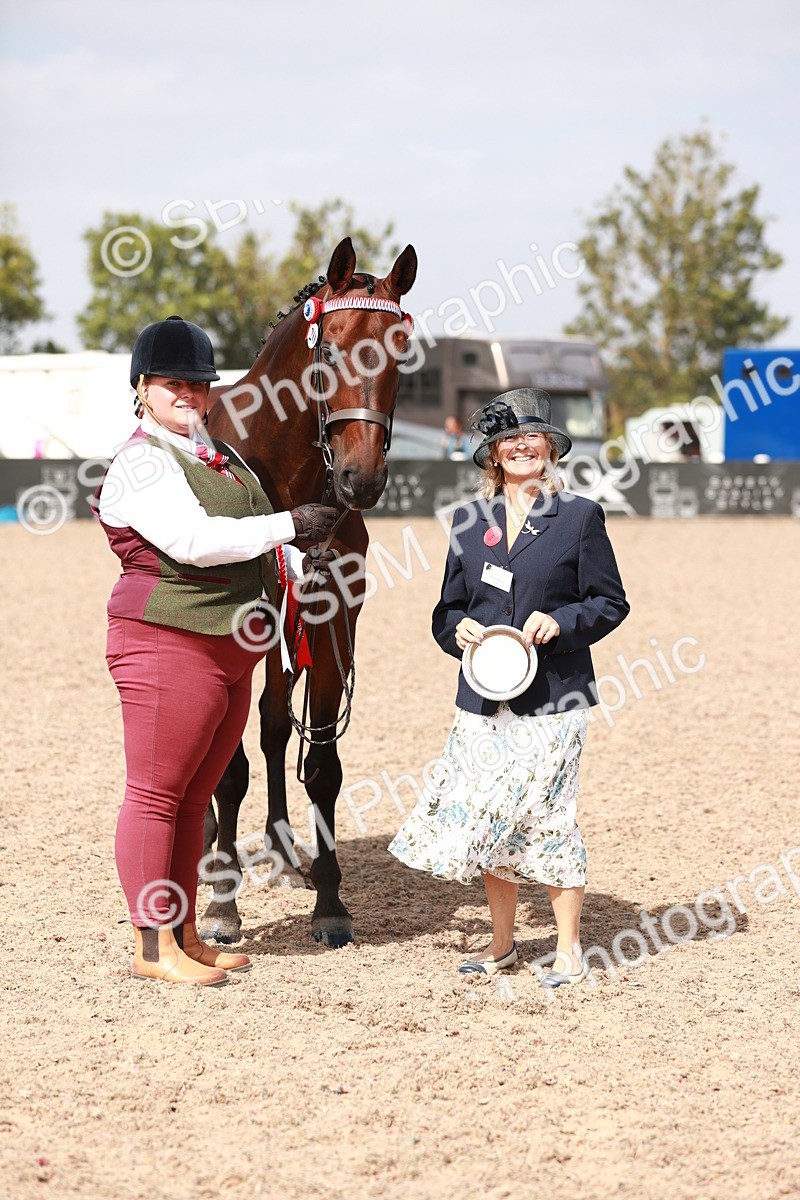 SBM_13296 - Class 208 IH Veteran Horse