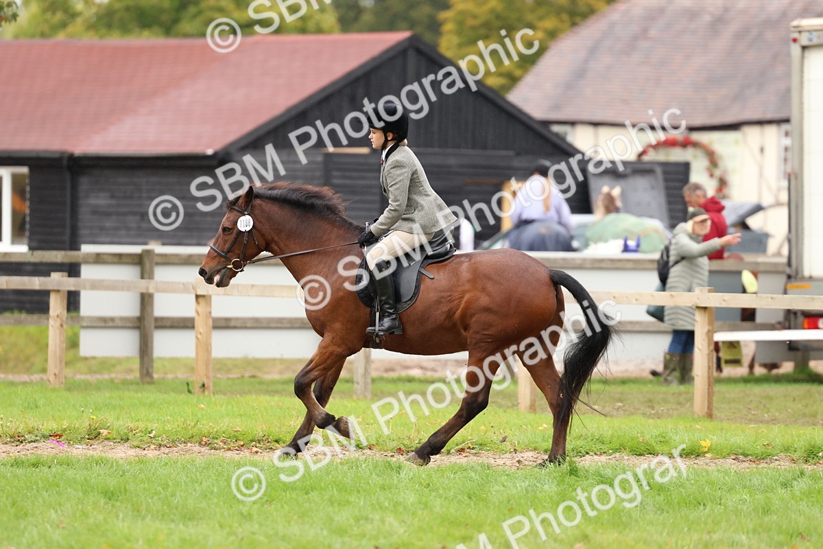 SBM_69617 - S62 - Mountain & Moorland Ridden Large Breeds
