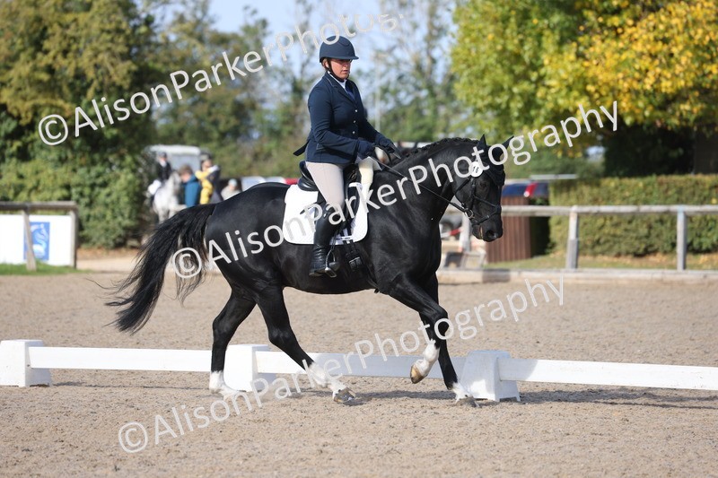 20261010-0604 - Class 5 - Novice 1