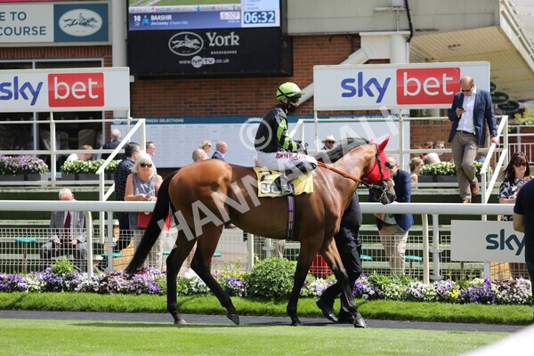 yr12062021r2-8 - Race 2 2.35pm The JCB Stakes