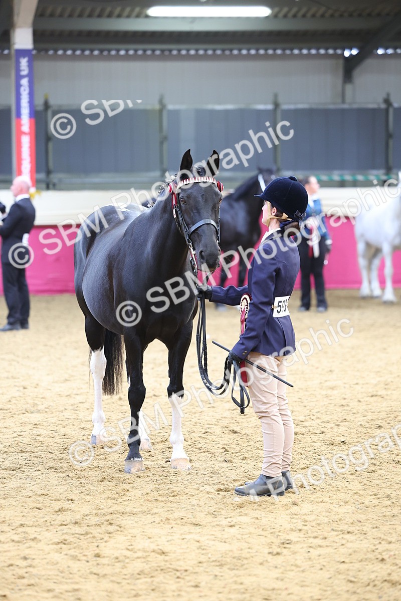 SBM_23005 - Class 903 - Supreme Final - IH Pre Vet