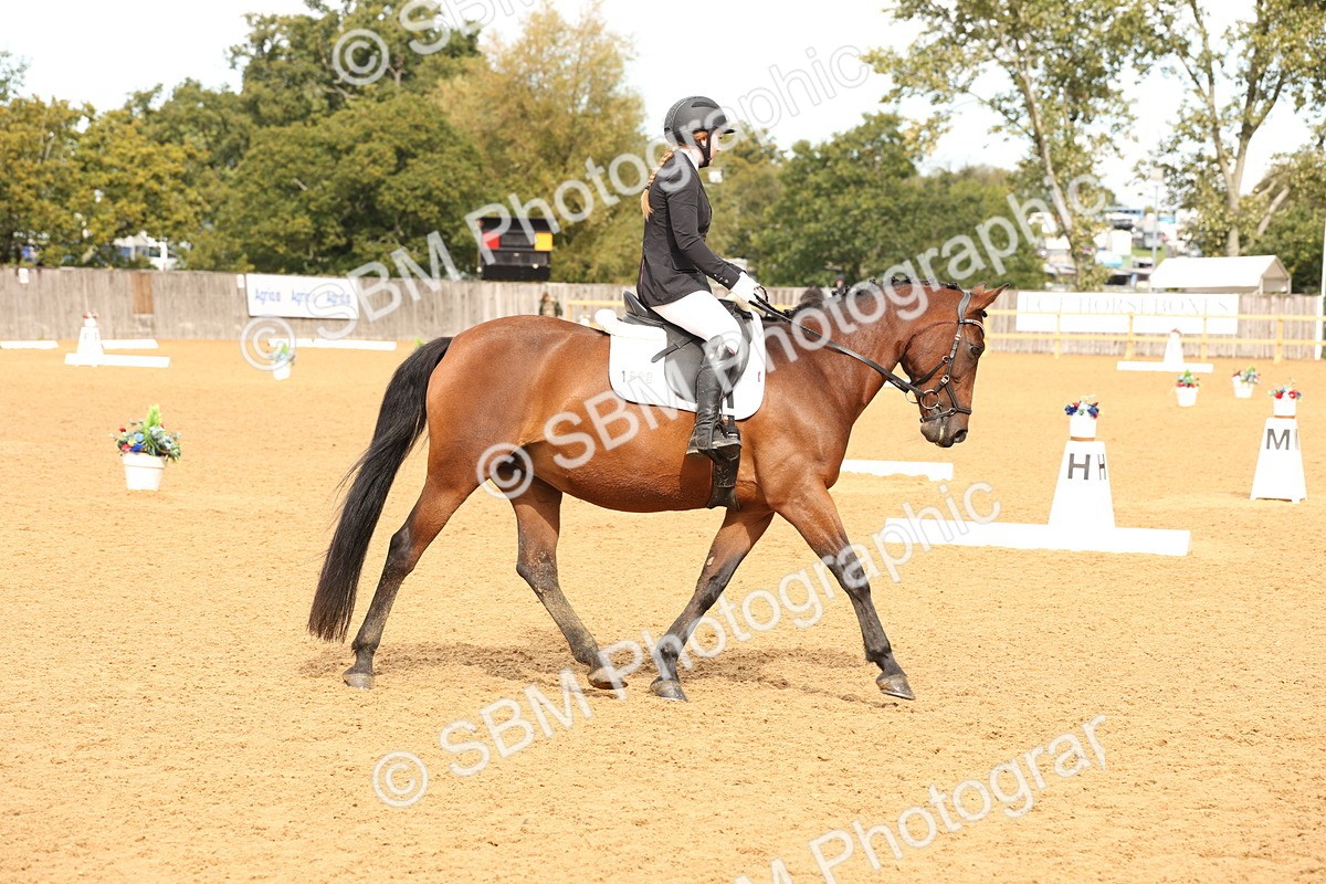 SBM_40637 - D6 - Small Tour Championship Intro 4