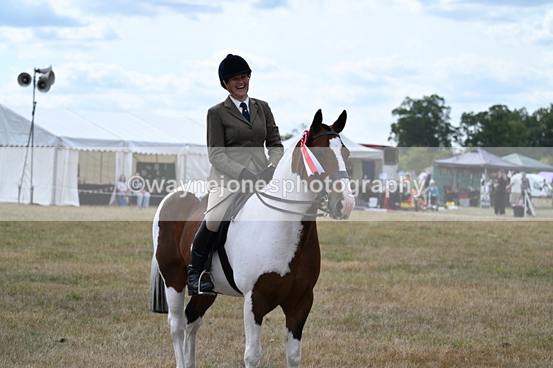 WJ7_5536 - Class 12 Ridden Cob