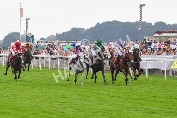 100923-Pony Race 2-Its Fatherted-0252 - Pony Race 2 12.45 The Dragon (TV and Film) Studios Pony Race 148cm & Under