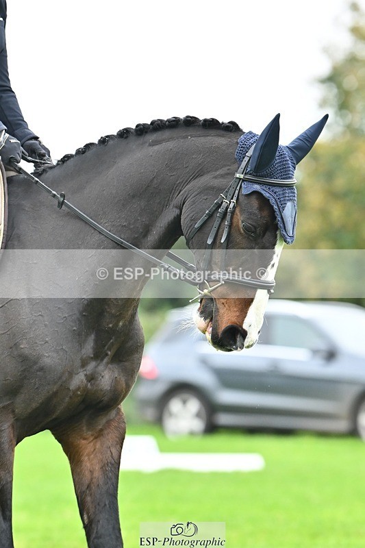 241024-134953-04217 - 330-Sophie.Drummond-EDELMAN