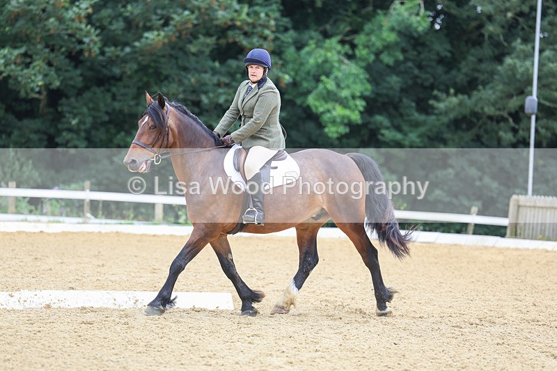 3E7A5196 - Class 2: Intro 4 2024 section B