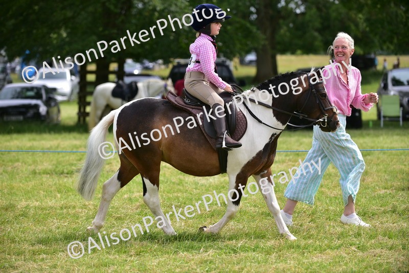 20260614-3993 - Class 16 - Handsome Gelding