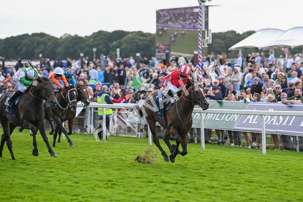 230824-Race 4-Bradsell-9411 - Race 4 3.35pm Coolmore Wootton Bassett Nunthorpe Stakes