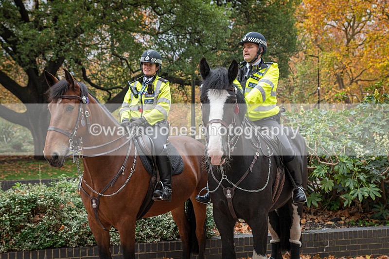 Z62_4736 - Animals In War Memorial 2025 - Park Lane, London