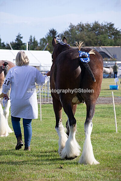 DSC_0086 - Ring 1