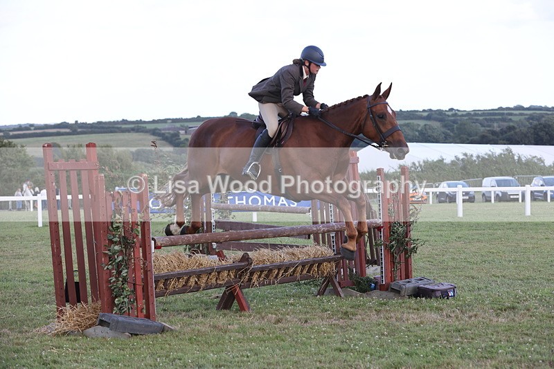 JPP_3674 - Class 24: Open Working Hunter