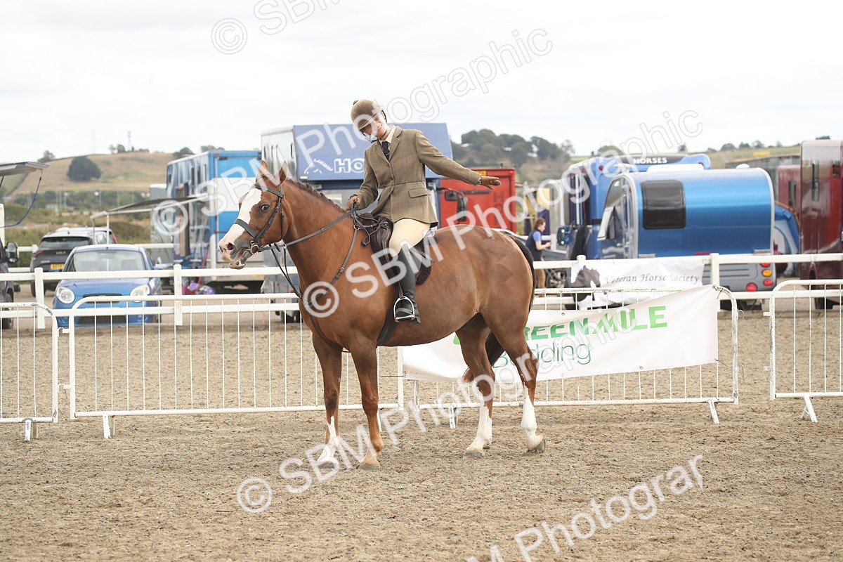 SBM_17747 - Class 508a - Working Veteran 70cm (15-19)