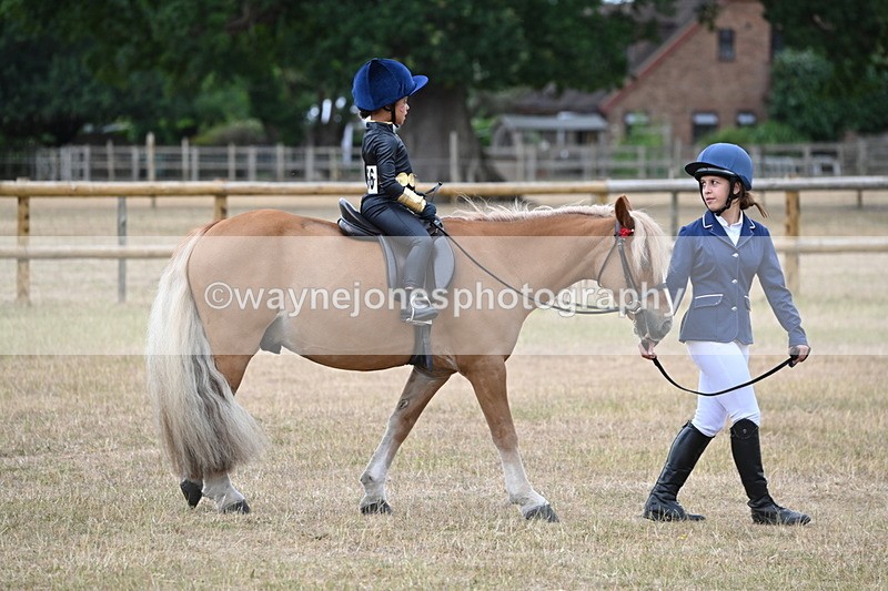 WJ6_8808 - Class 11 Fancy Dress