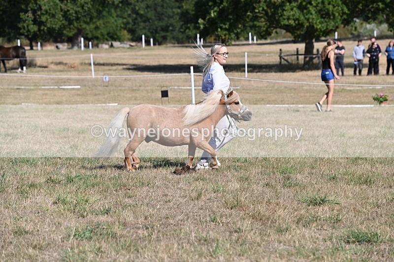 WJ6_7256 - Class 33 Rescue Pony
