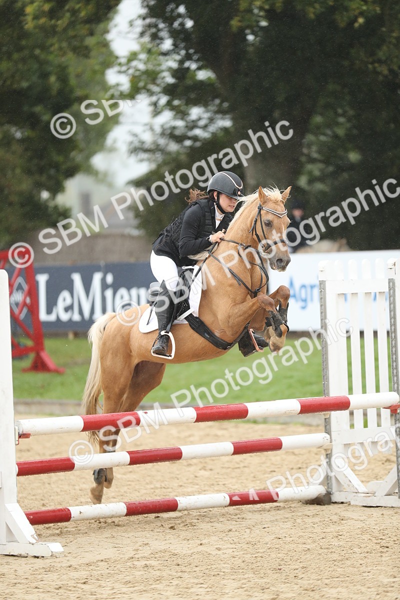 SBM_73935 - J16 - Junior Pony 75cm Championship