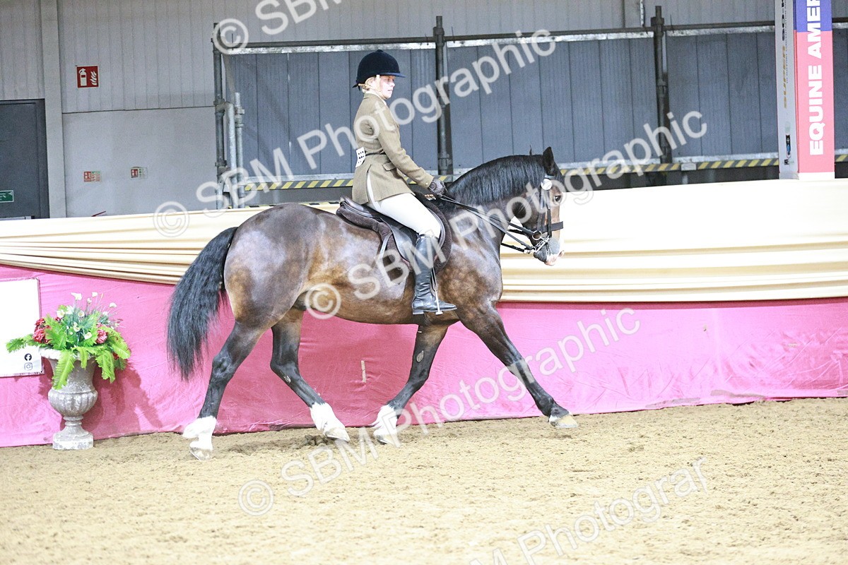 SBM_03342 - Class 6A Area Ridden Pre-Vet