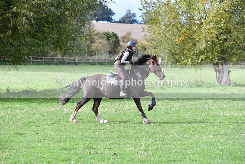 WJ5_0538 - Time 13:59 to 14:28