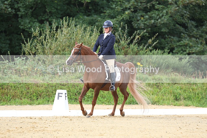 3E7A1914 - Class 1: Intro 4 2024 section A