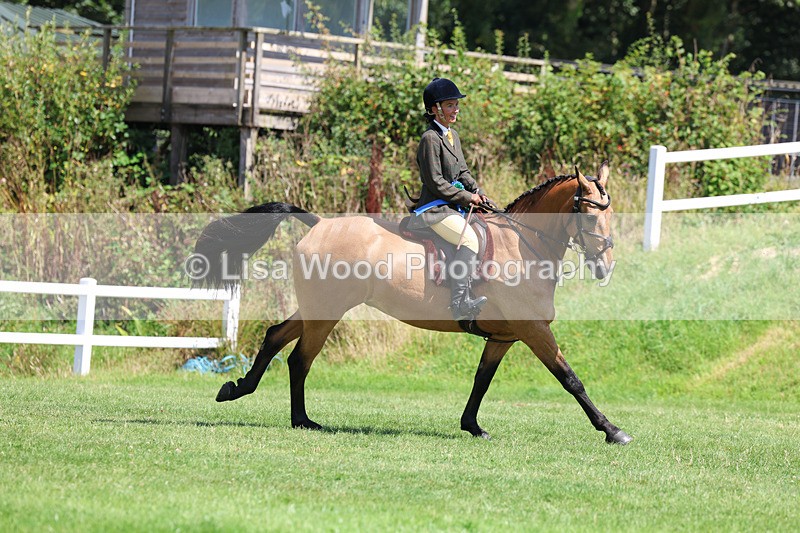 3E7A9150 - Working Hunter Championship