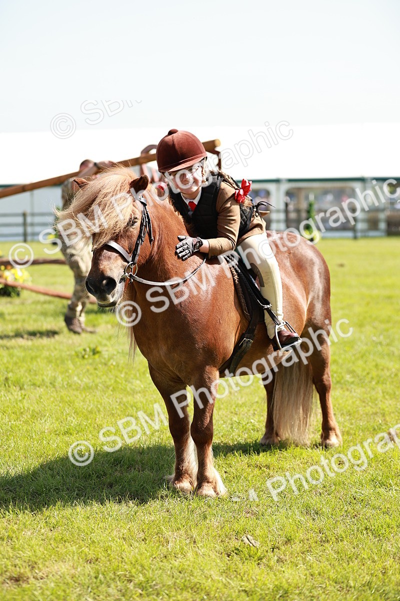 SBM_12829 - Class 106-107 - BSPS LIHS Working Sports Pony