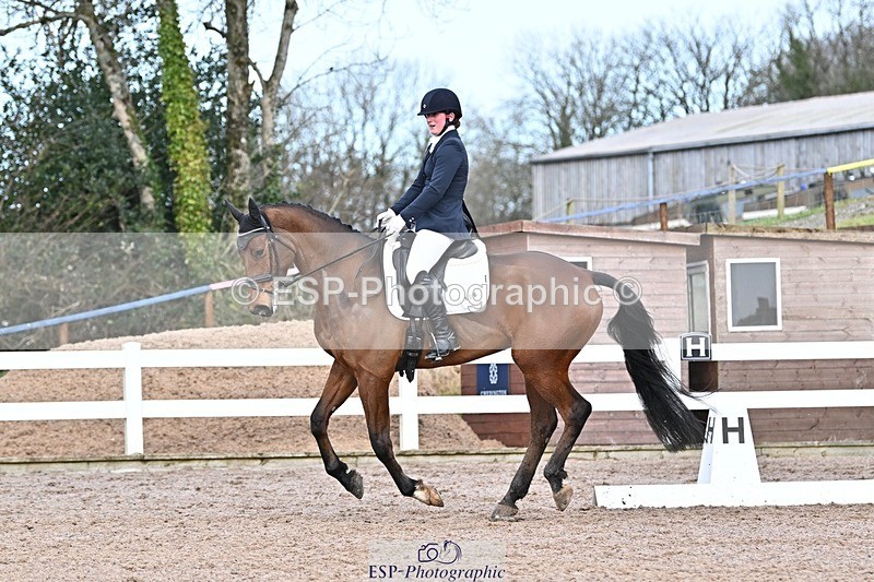 250125-130251-00534 - Dressage - CT Class 6 BE102