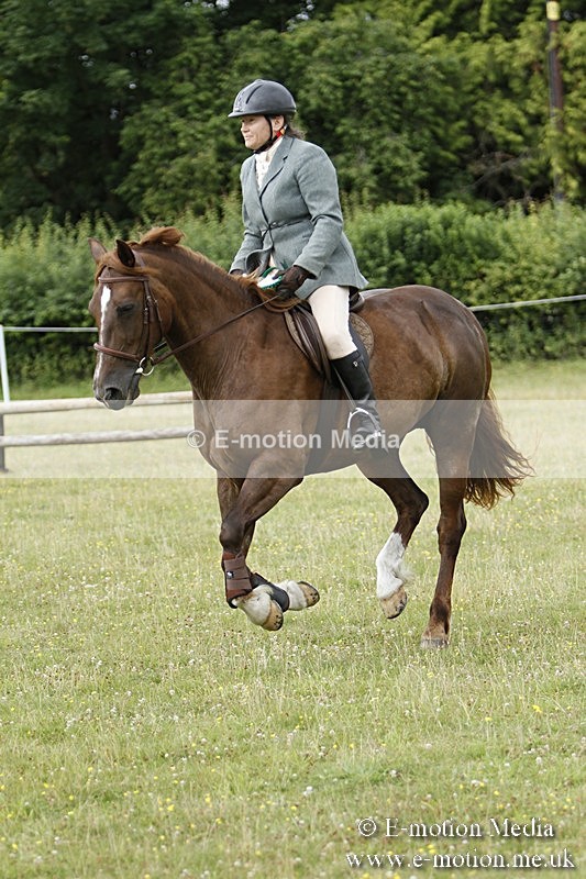 BVR160717-437 - Ring 3 BVRC Show 16/07/17