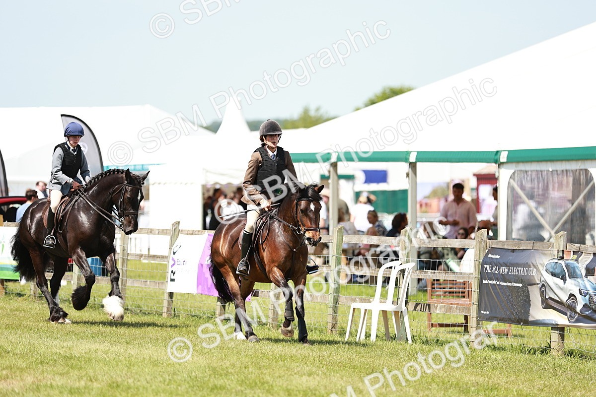 SBM_16438 - Class 110-111 - Training Stakes (70cms 80cms)