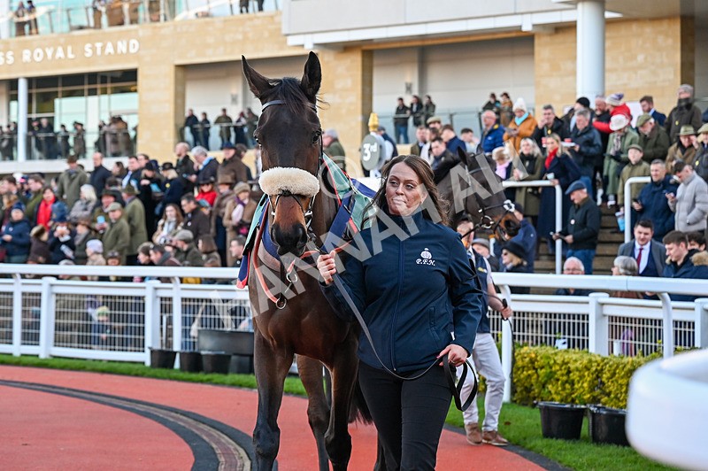 141224-Race 2-Isaac Des Obeaux-0412 - Race 2