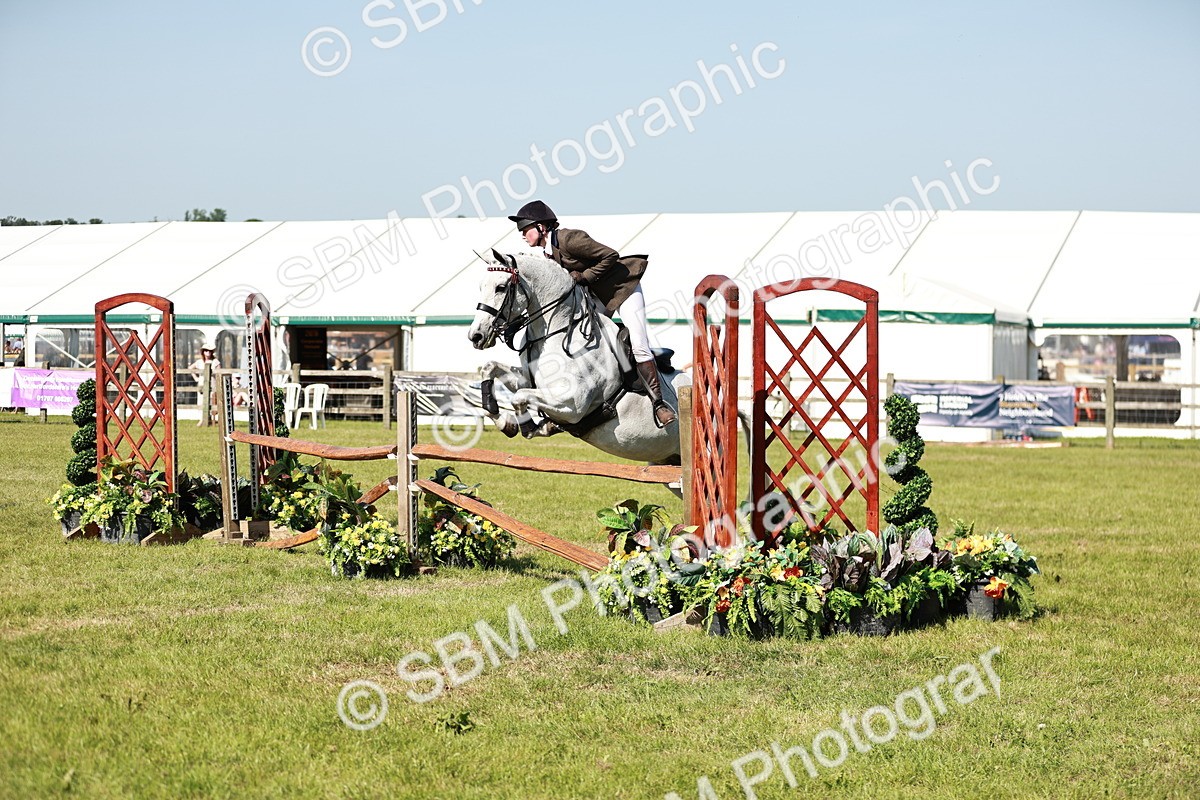 SBM_18855 - Class 114 - RIHS & SEIB Open Working Show Horse